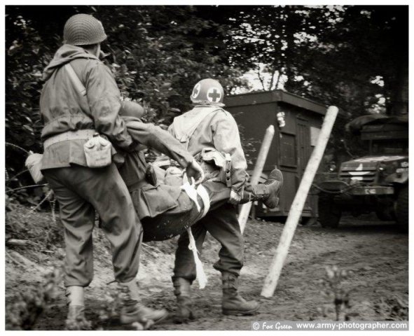 mg 231
